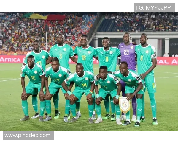 塞内加尔足球历史十大传奇球星盘点与成就回顾